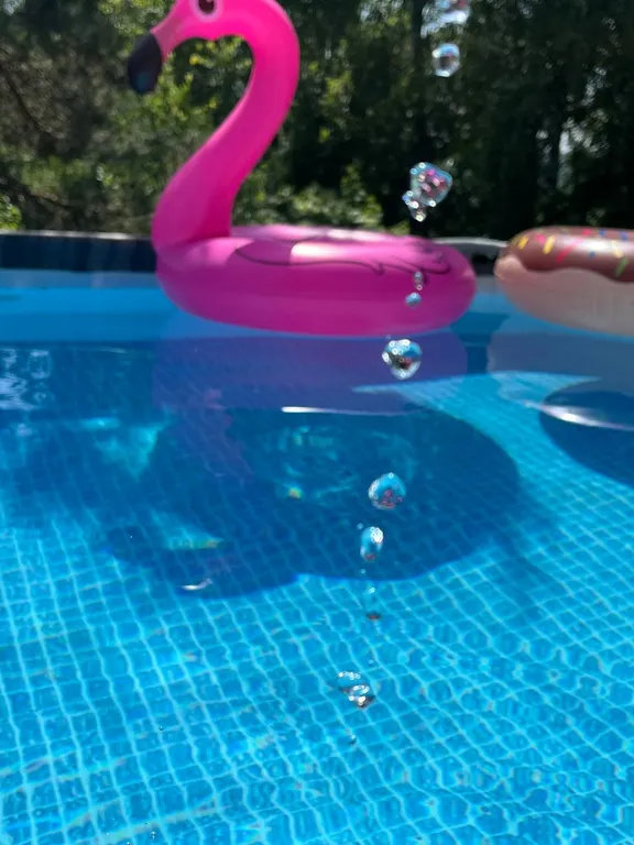 Домик на базе отдыха с бассейном