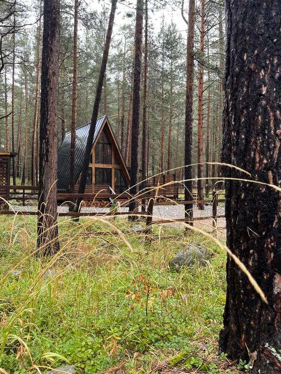 Уютный дом в сосновом бору с видом на горы