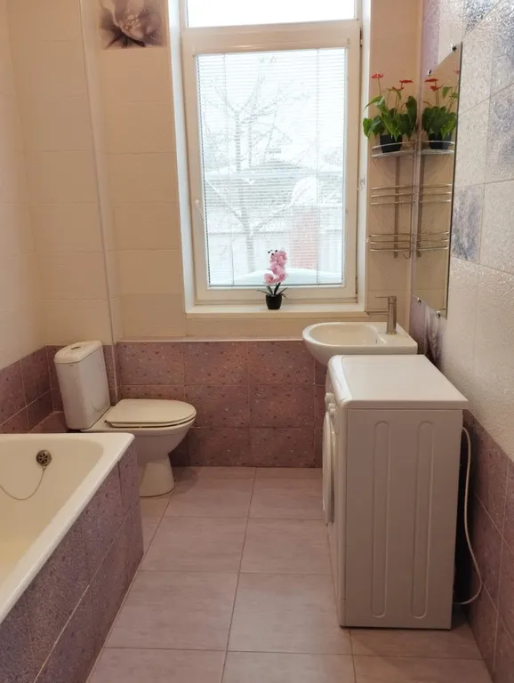 Дом-аквариум на Салотопке