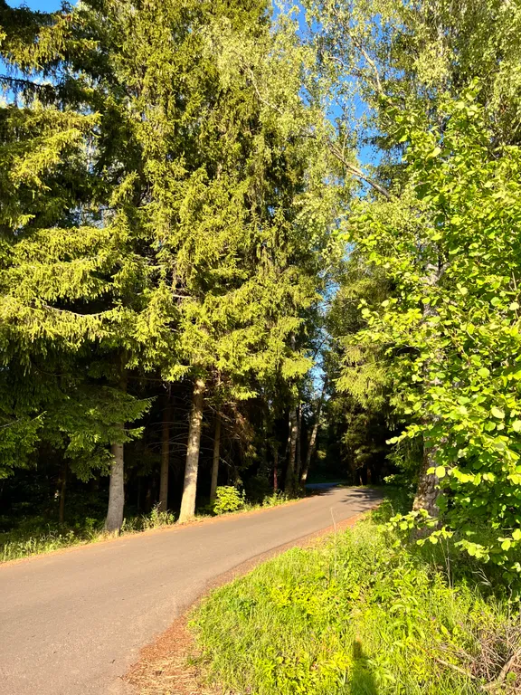 Атмосферный Дом с Мезонином в стиле чеховской эпохи