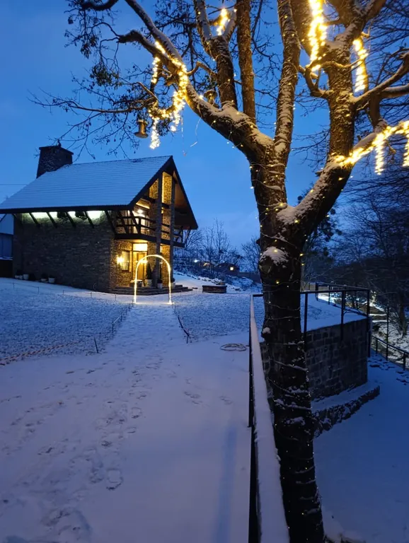 Шале в черте города с выходом в лес