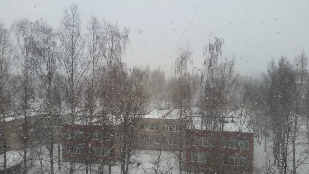 Квартира в центре города