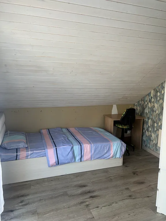 Дом с березовым лесом на участке