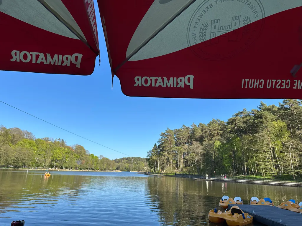 Студия у озера