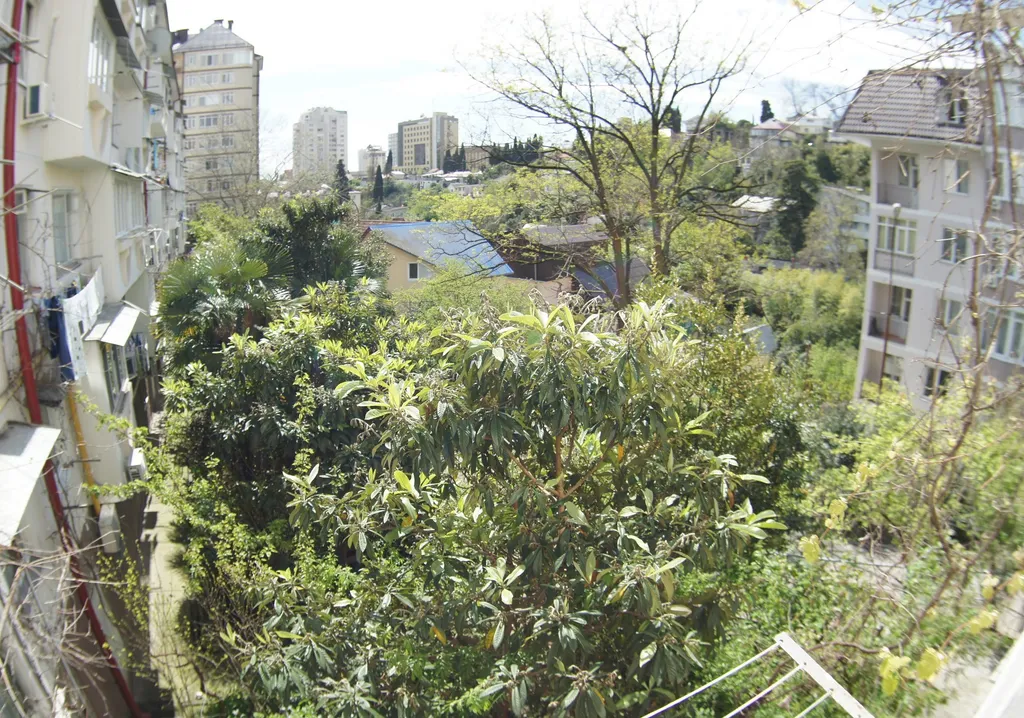 Квартира Уютная квартира у Жемчужины — Сочи