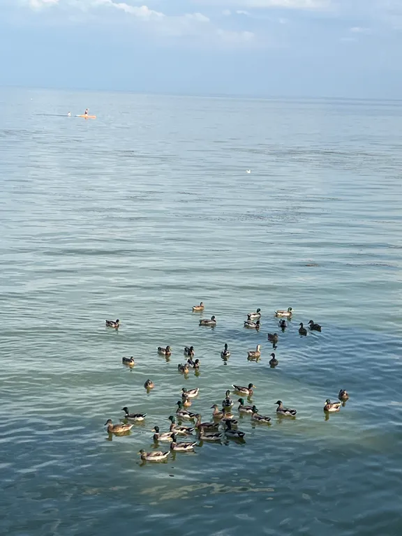 Коттедж у моря