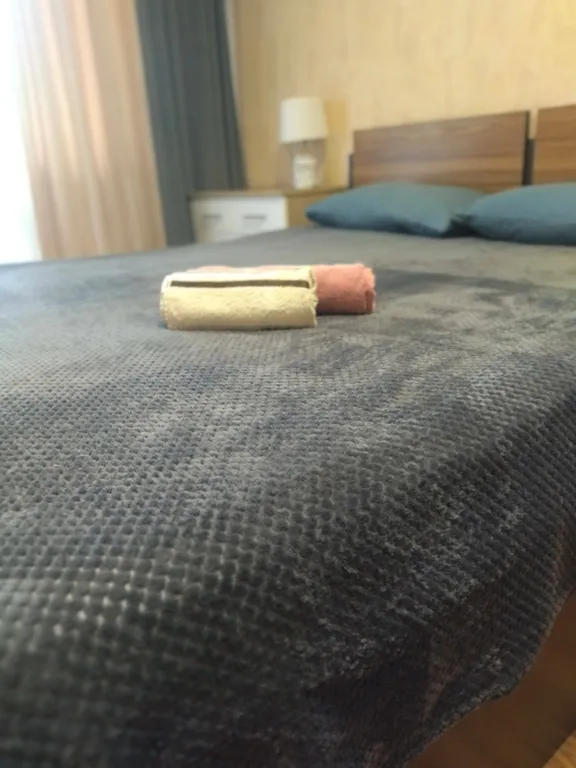 Уютная квартира в центре города