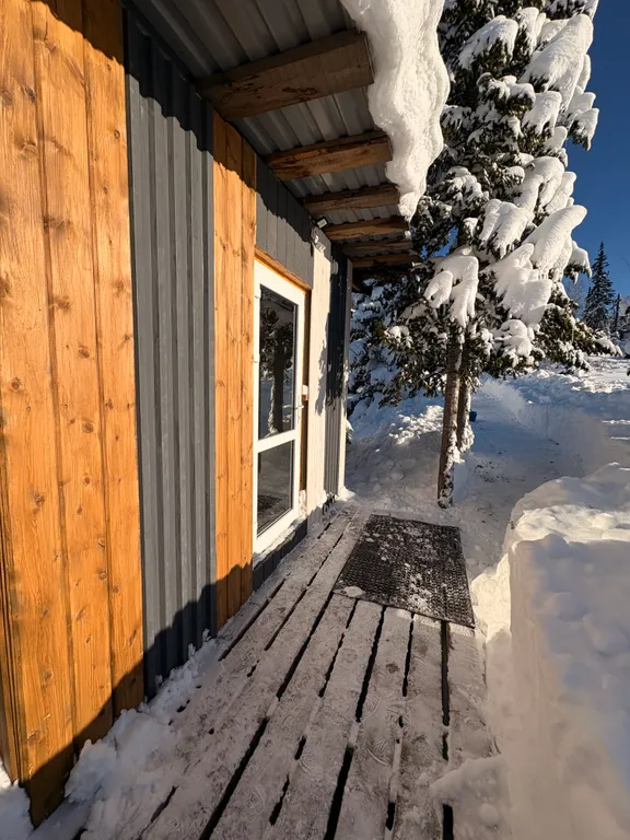 Дом с видом на горы в елочках