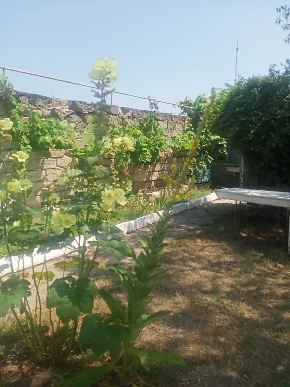 Тихая гавань у моря