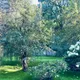 Душа в Софрино