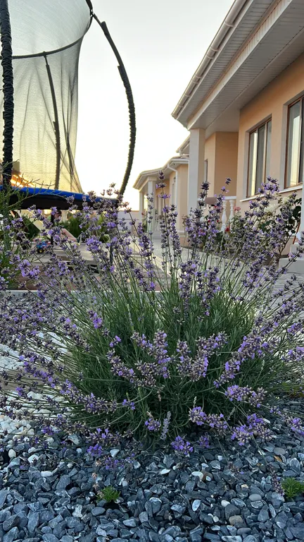 Коттедж Дом у моря №5 — Витино