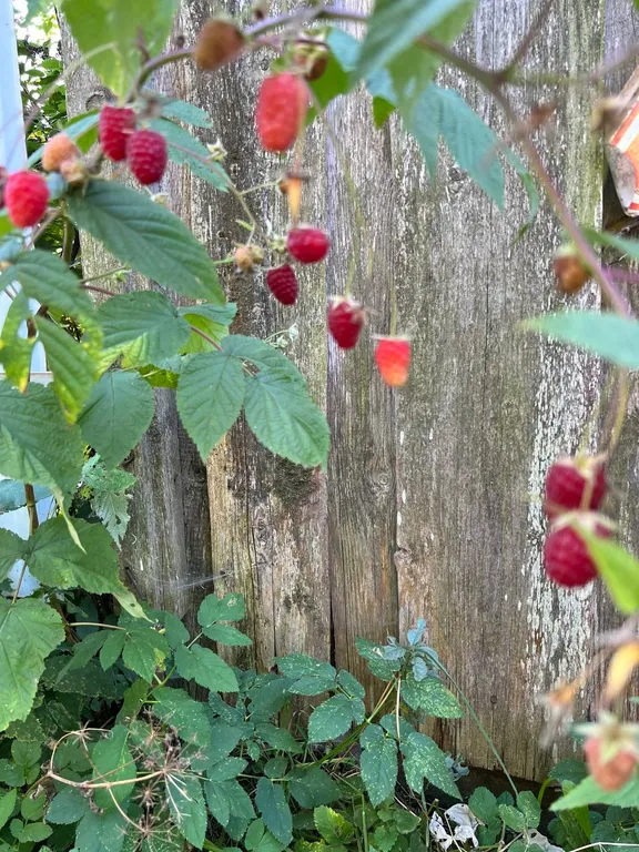 Дом на Валдае