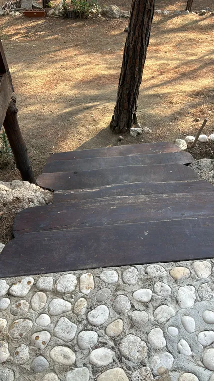 Просторное эко бунгало в сосновом лесу на побережье Турции