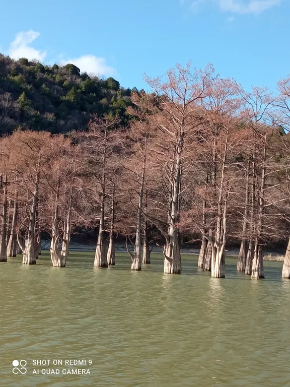 Уютная студия с видом на горы с бассейном