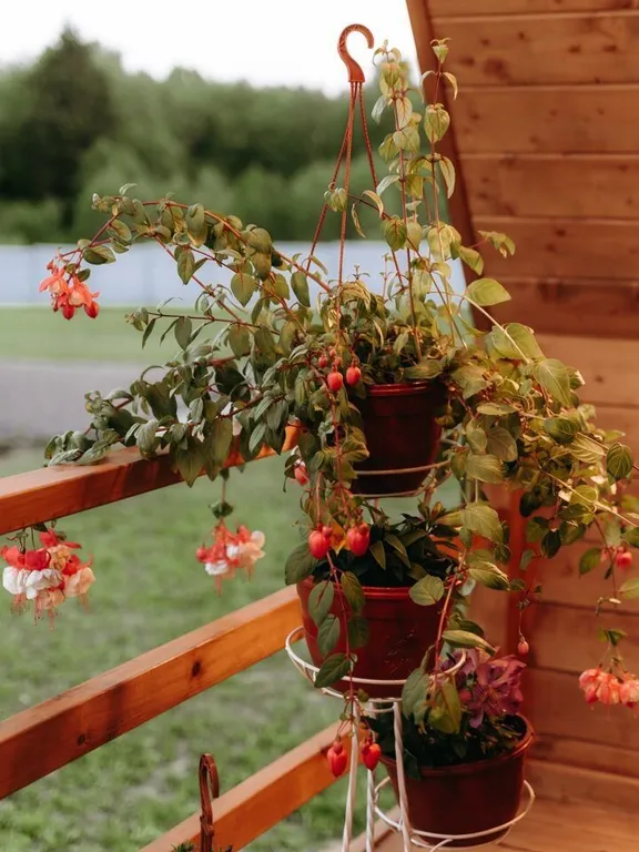 Дом в стиле Афрейм