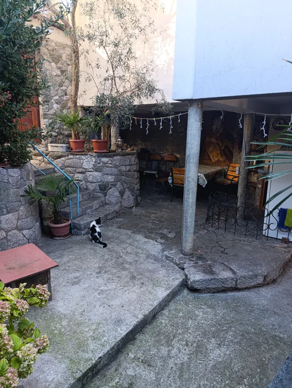 Уютный отдых на море