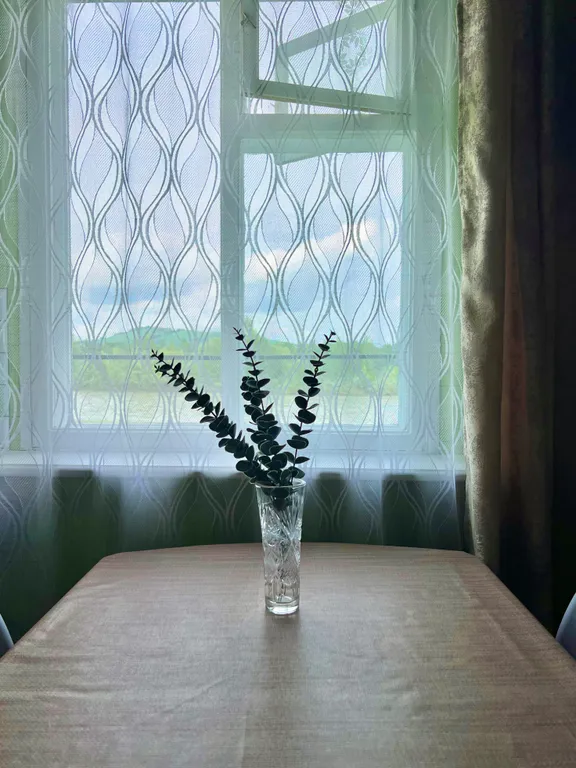 Домик на берегу Катуни, первая линия