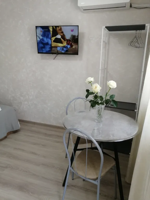 Студия с террасой