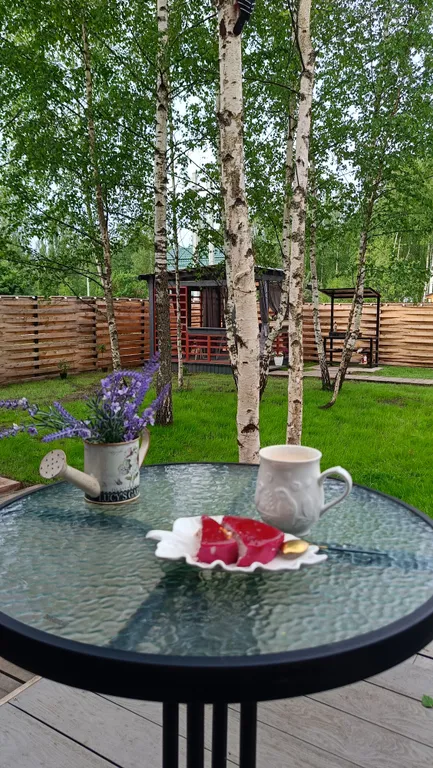 Чарующий дом Птички