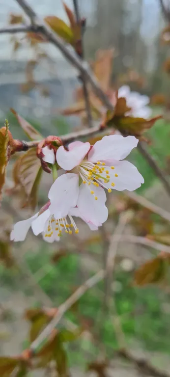 Загородный дом Погружение в себя