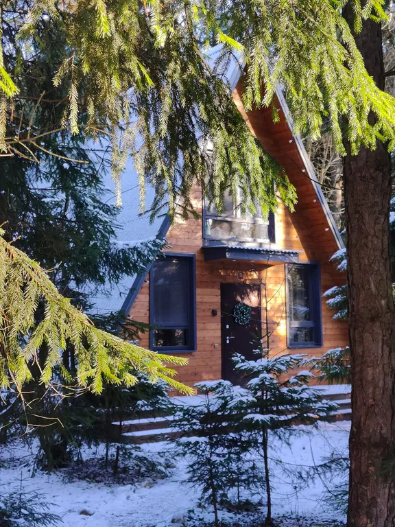 Большой уютный дом в лесу