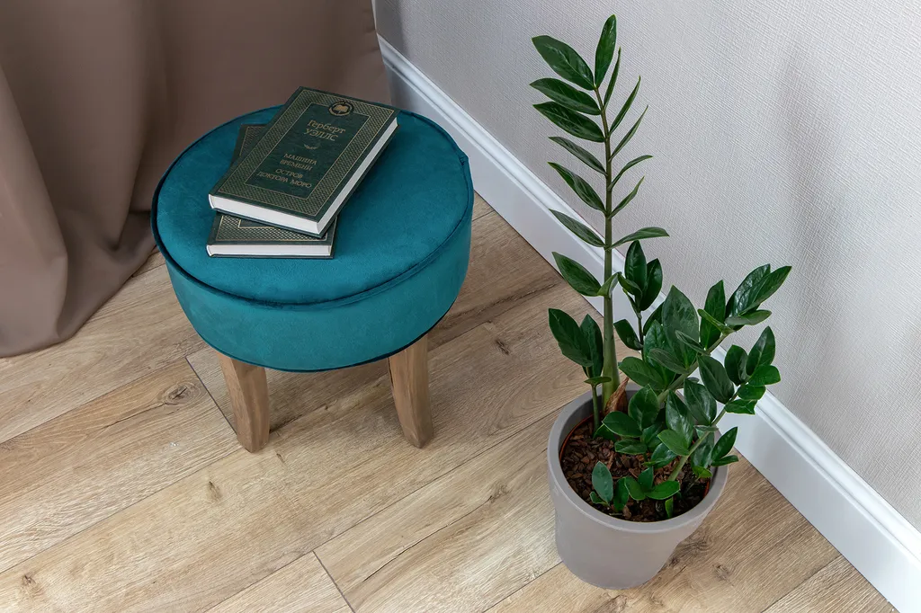 Квартира Квартира Студия у Алмазова и Доктрины — Санкт-Петербург