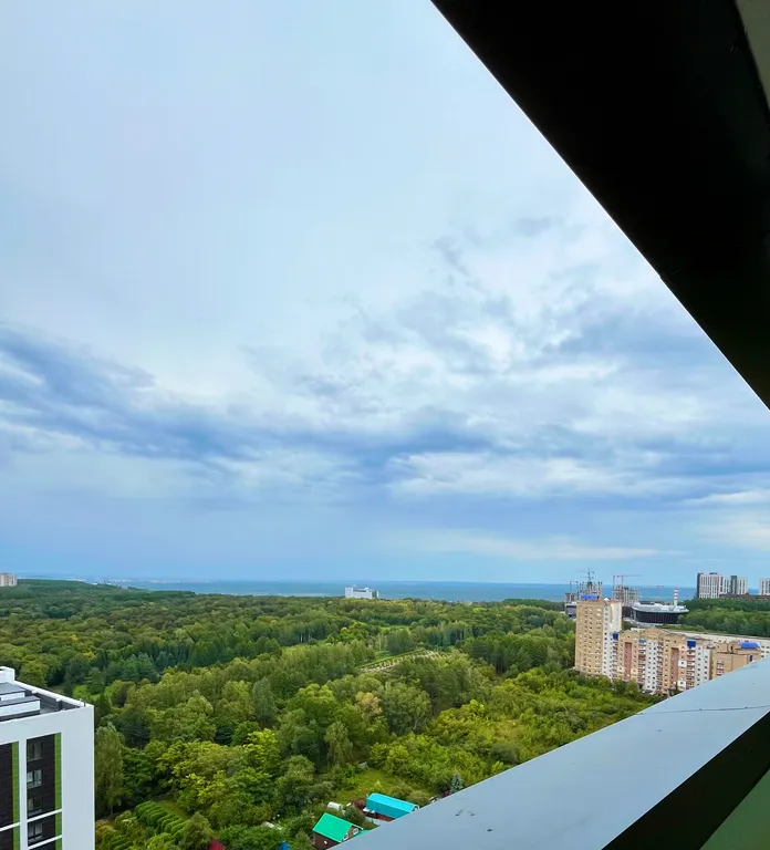 Видовые апартаменты в Зеленой роще