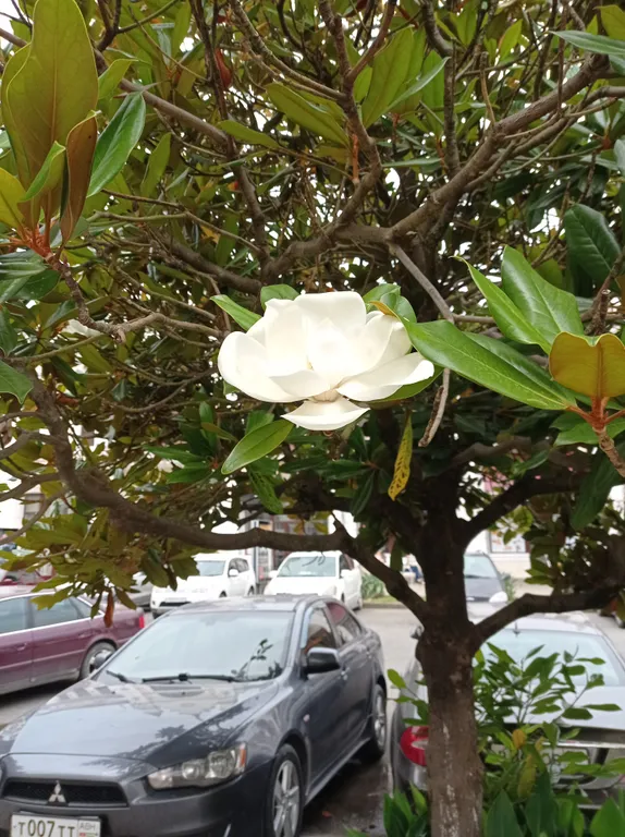 Квартира 2-комнатная Квартира — Сухум