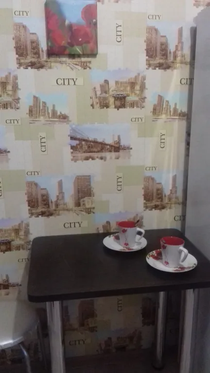 Квартира в центре города