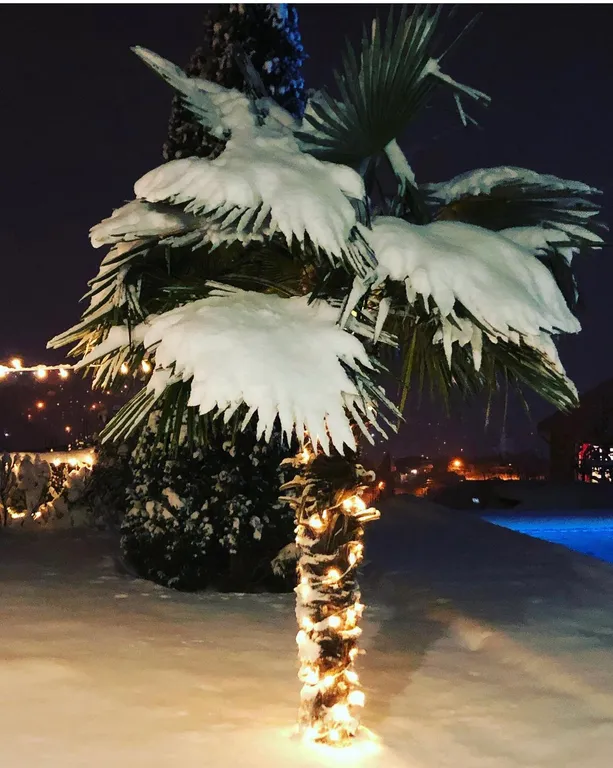 Апартаменты с видом на море