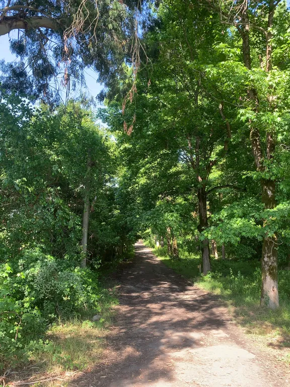 Апартаменты "Африка" в 300 м от песчаного пляжа, свой двор и мангал