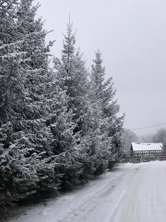 Уютный барнхаус в скандинавском стиле у горнолыжного курорта Сорочаны