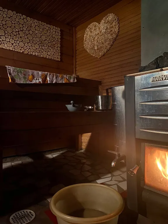 Дом в Карелии с печью-камином и видом на лес