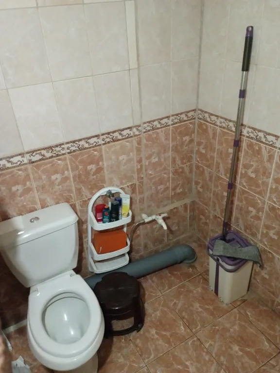 Уютная дача с видом на речку и фруктовый сад