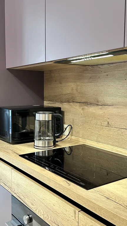 Квартира с террасой у Финского залива