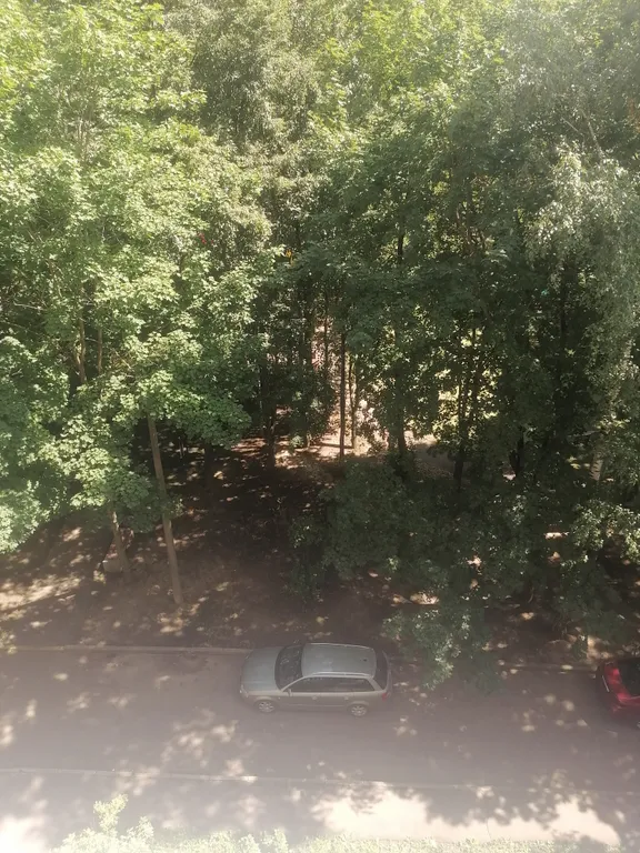 Квартира в центре