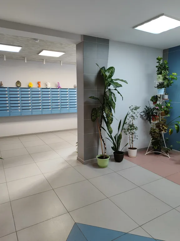 Уютная квартира-студия