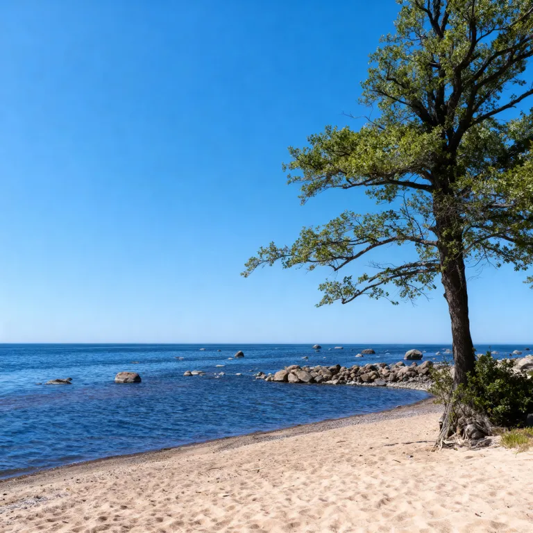 Коттедж 2-комнатный Дом — Санкт-Петербург