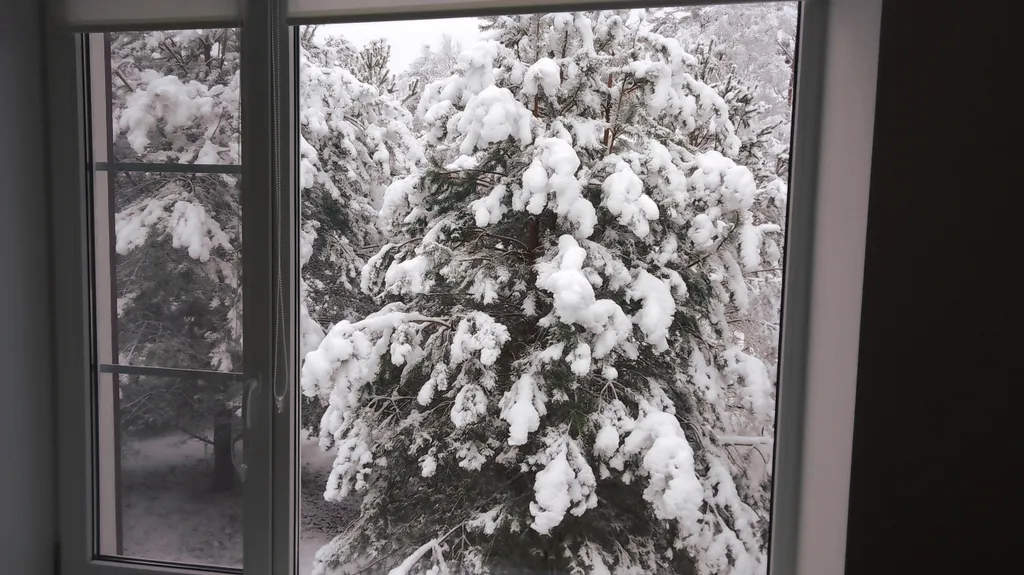 Эко Таунхаус Хитрый Лис Парк