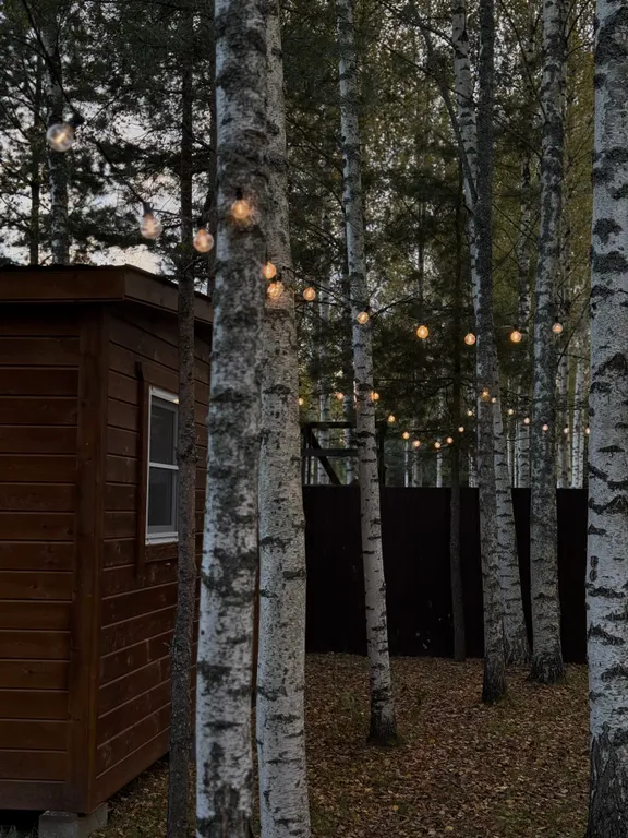 Дом А-фрейм на Рыбинском море