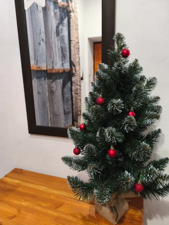 Атмосферный апартамент с сауной в средневековом центре Тало Торни