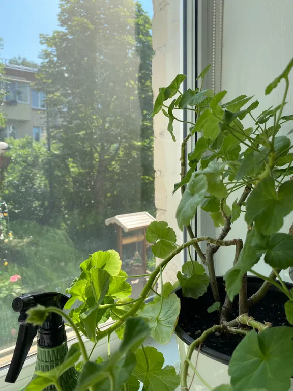 Квартира Квартира Апартамент двухкомнатный в центре Пушкина — Пушкин