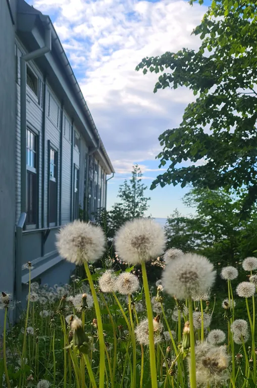 Jurmala Beachfront Art Gallery Mansard Suite in Historic Bath-House