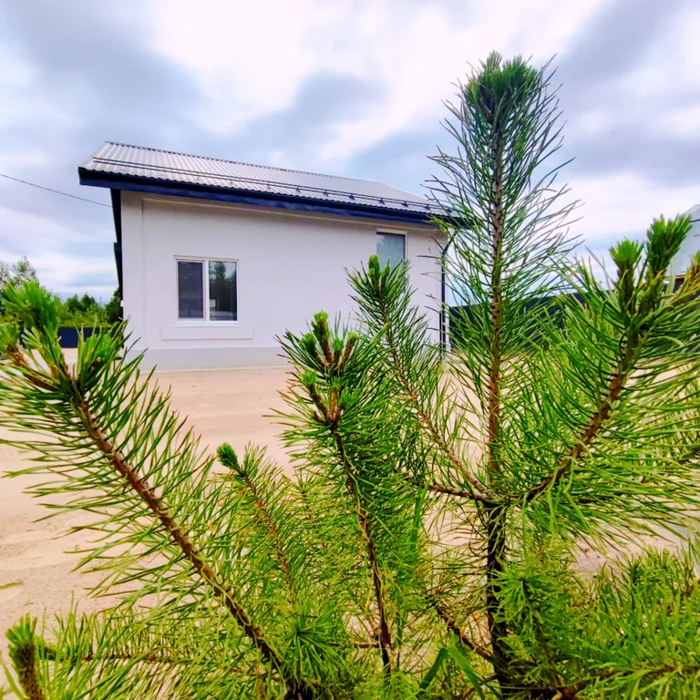 Дом, коттедж с сауной