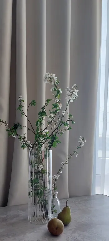 Квартира Квартира Уютная студия рядом с Олимпийским парком — Сириус