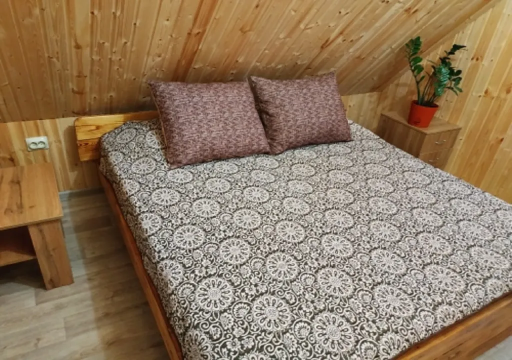 Дом возле источников