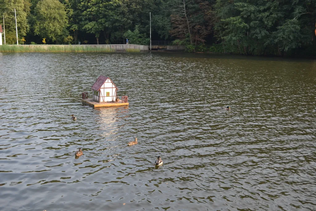 Квартира Апартаменты с большой террасой — Светлогорск