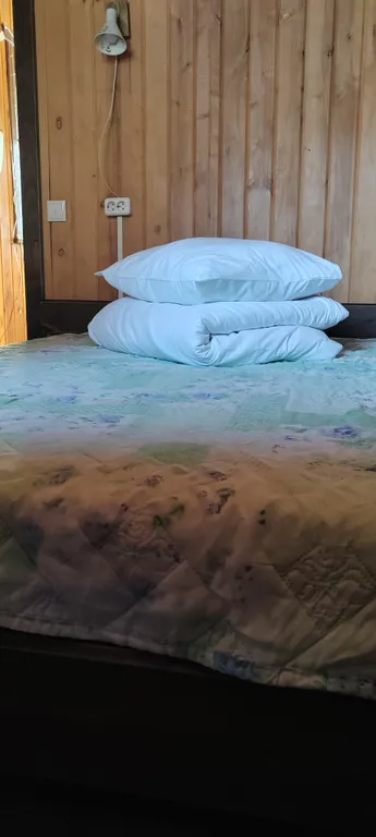 Домик у речки - мечта интроверта