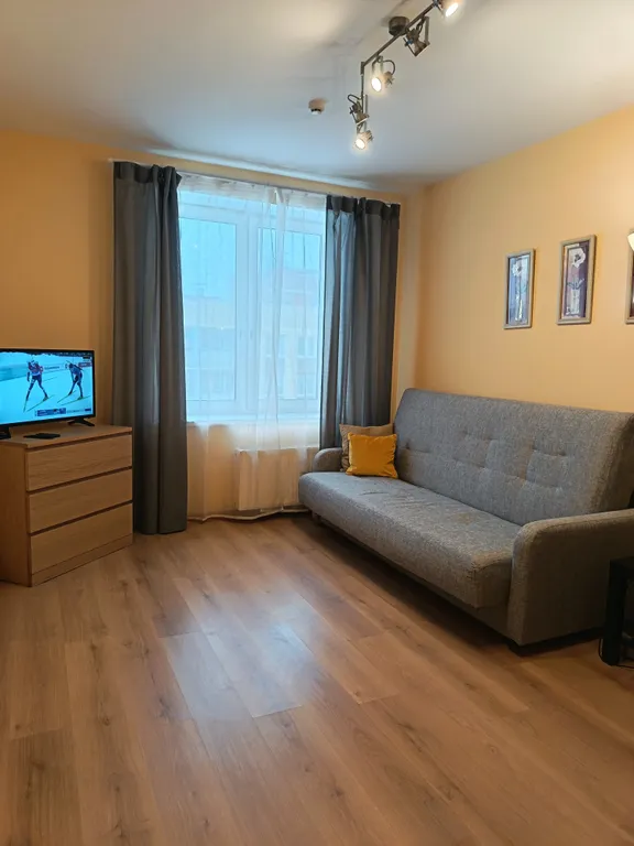 Квартира Однокомнатная квартира у НИИ Петрова — Песочный