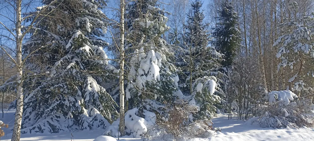 Усадьба Анатолия